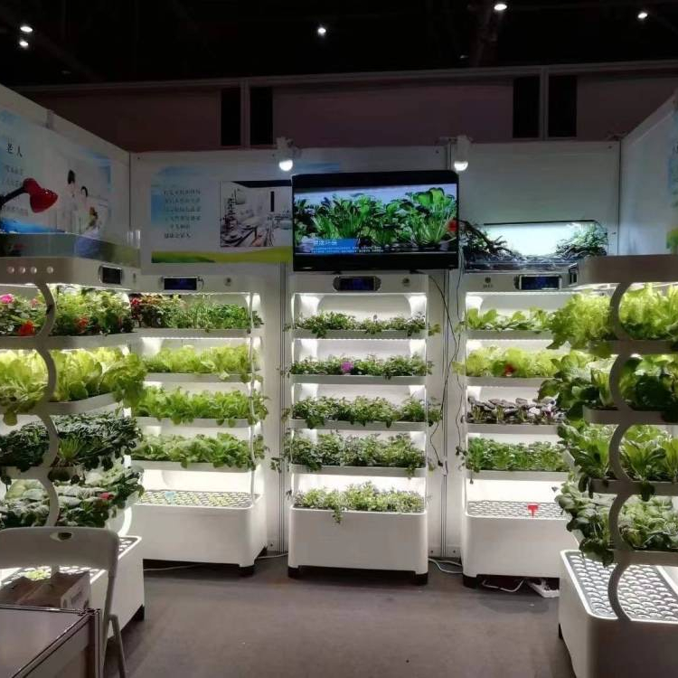 Intelligent Hydroponic Growing - Smart Home System incelemesi ve fiyatı