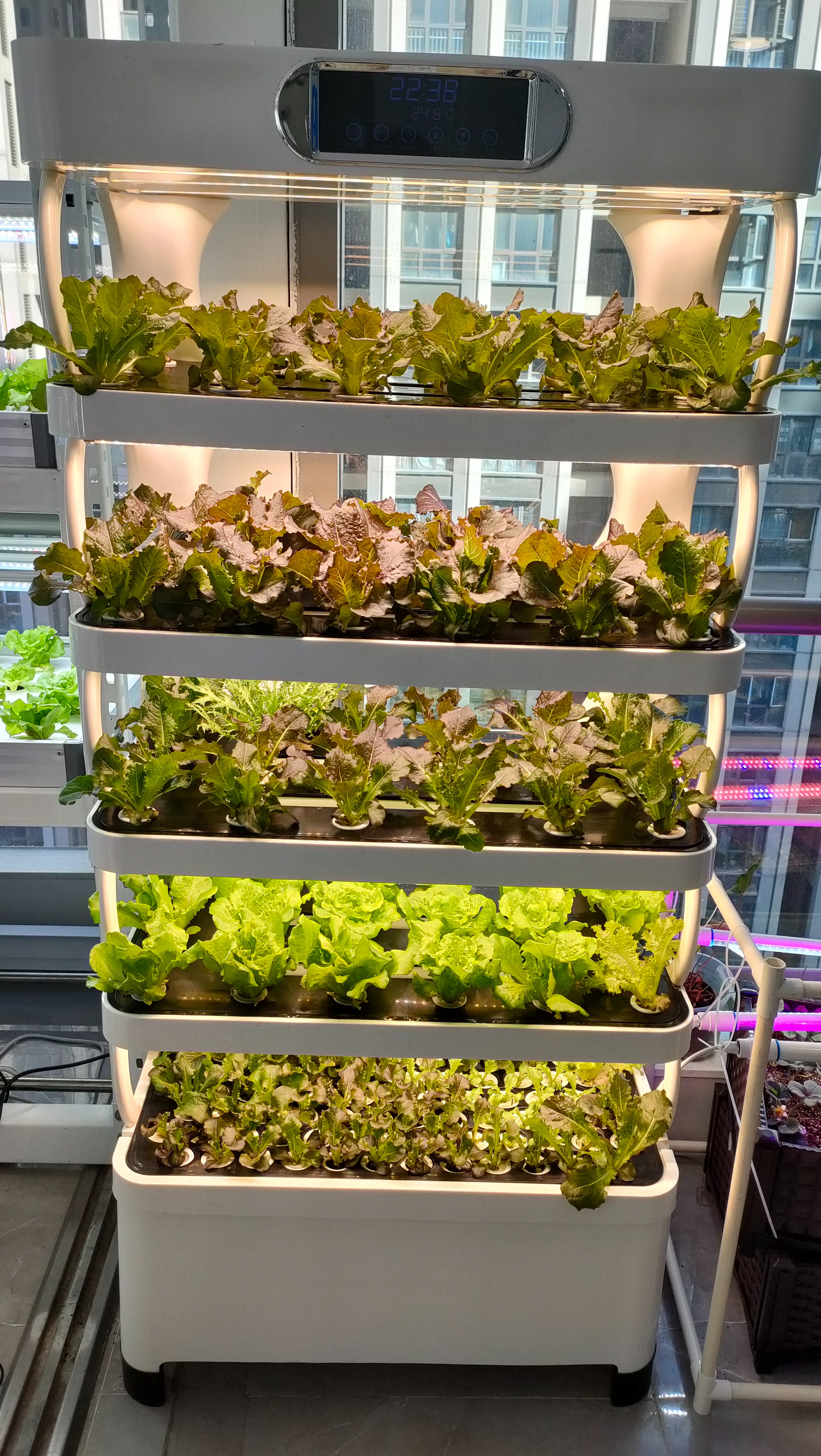 Intelligent Hydroponic Growing - Smart Home System incelemesi ve fiyatı