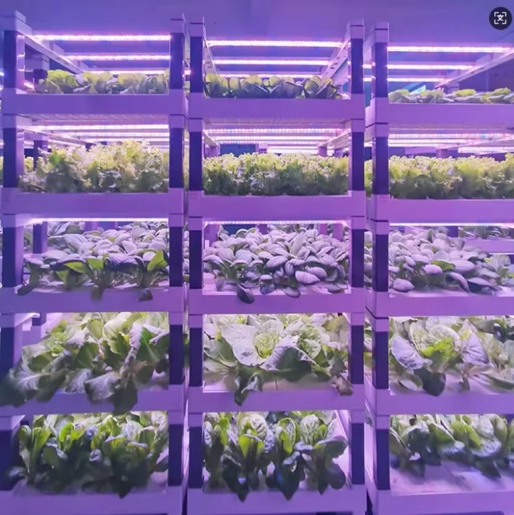 Hydroponic Grow System Greenho - Smart Home System incelemesi ve fiyatı